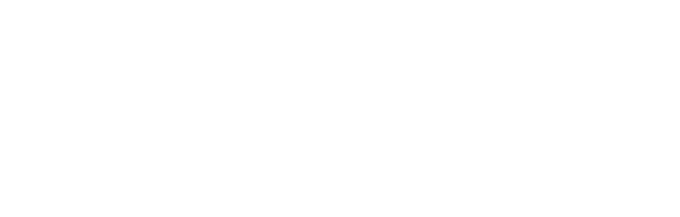 光速猫 GUANGSUMAO